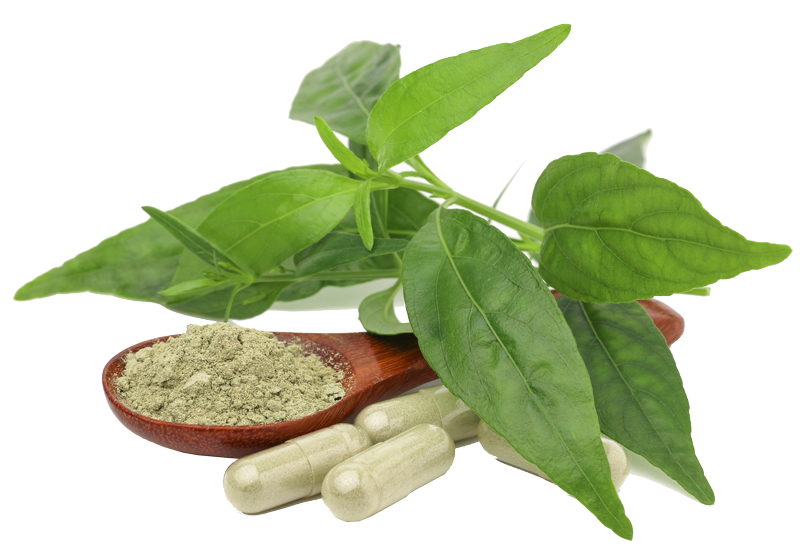 chinese herbs doctor in toronto